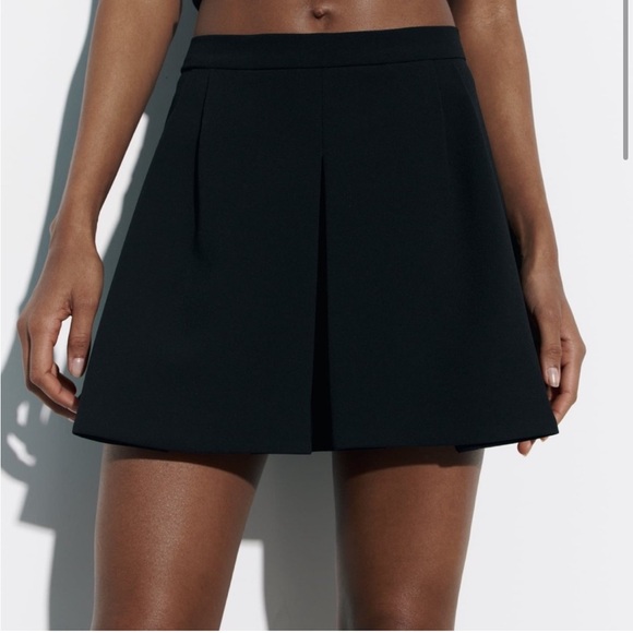 Zara Pleated Skirt - Picture 1 of 11
